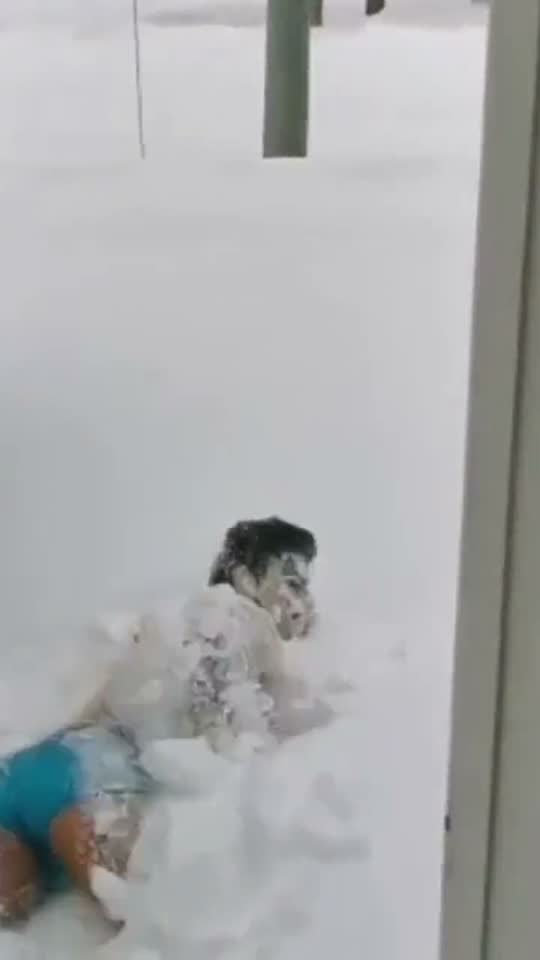 nadando na neve + anjo na neve ❄️🏊♂️🥶👼🌨️
