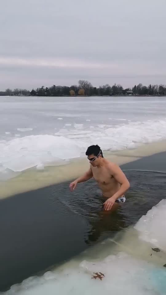Swimming past blue ice blocks